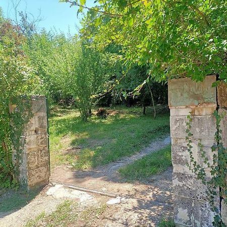 La Colline Aux Oiseaux, La Tranquillite Des Bois Villa Molieres-sur-Ceze Dış mekan fotoğraf