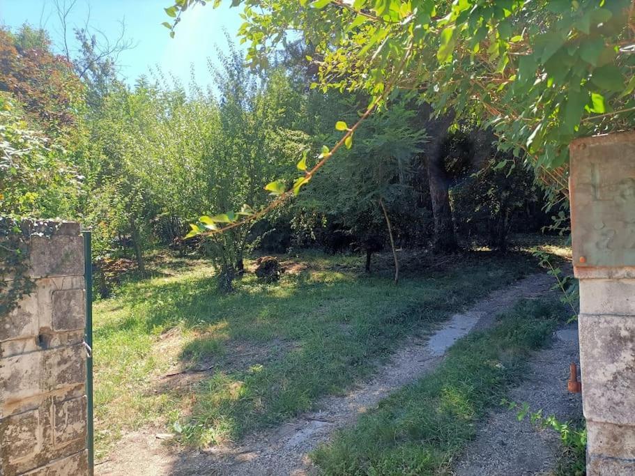 La Colline Aux Oiseaux, La Tranquillite Des Bois Villa Molieres-sur-Ceze Dış mekan fotoğraf
